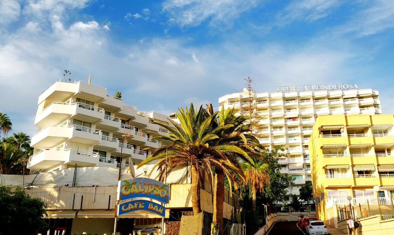 Under The Palm Apartment Плая де лас Америкас Екстериор снимка