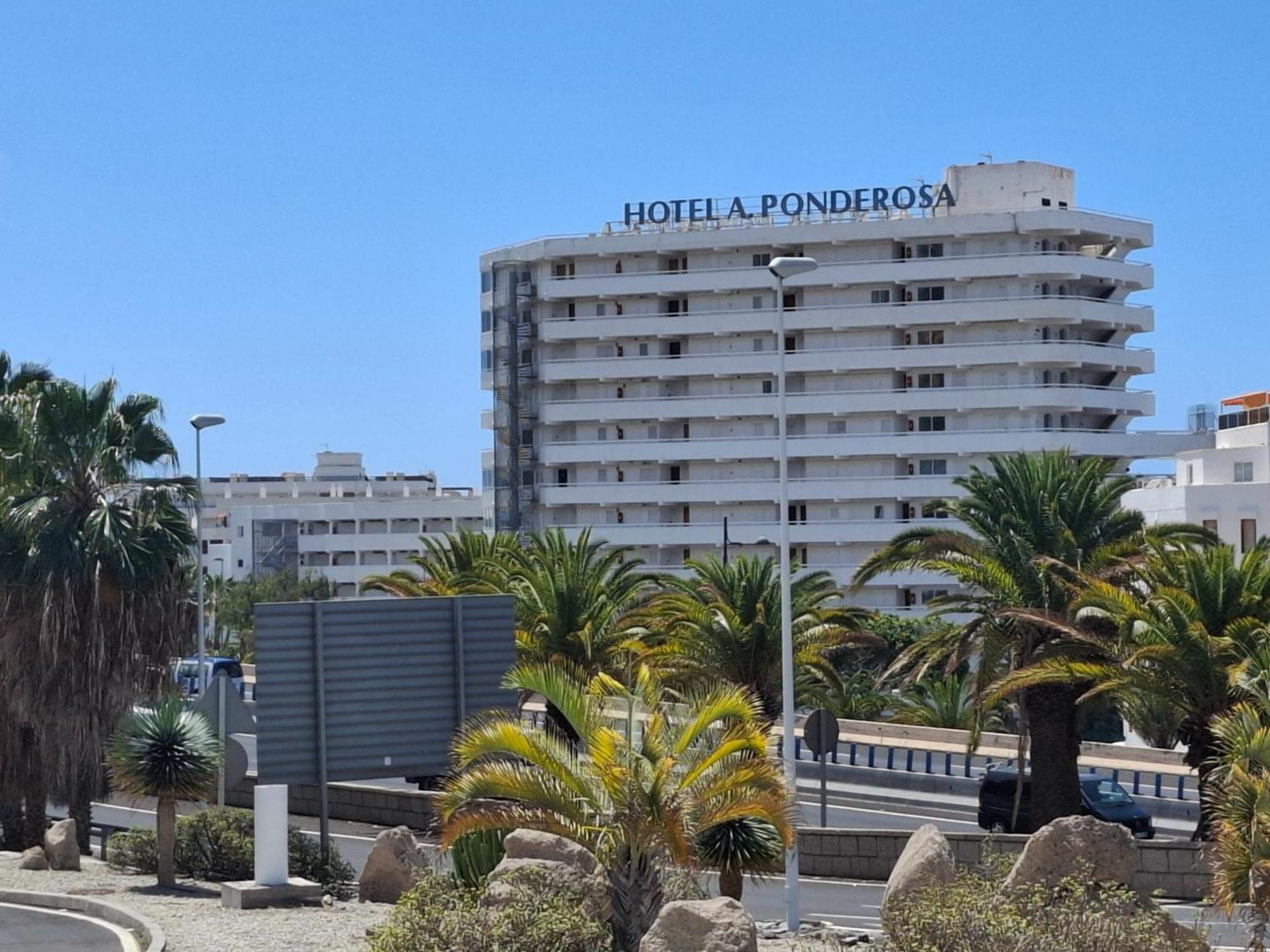 Under The Palm Apartment Плая де лас Америкас Екстериор снимка